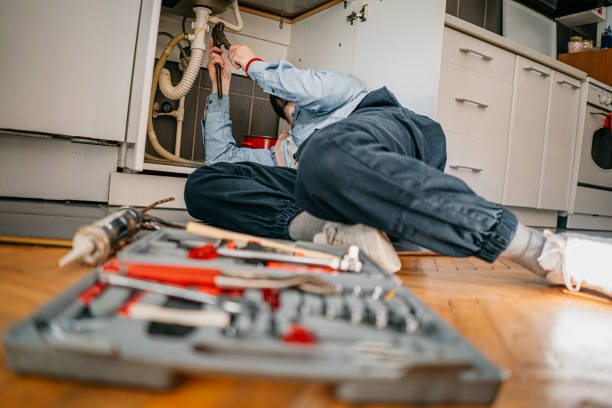 Best Plumbing Inspection Services  in Sand Lake, MI